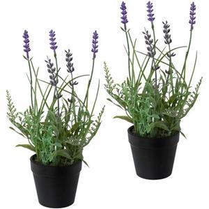 Creativ Green Kunstpflanze Lavendel, (3 St.), 3er Set, im Kunststofftopf