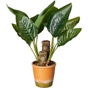 Creativ Green Künstliche Zimmerpflanze Blattpflanze Canna, (1 St.), im Paperpot