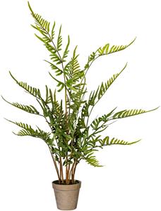Creativ Green Künstliche Zimmerpflanze Rippenfarn, (1 St.)