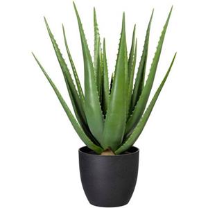 Creativ Green Künstliche Zimmerpflanze Aloe, (1 St.)