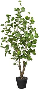 Creativ Green Künstliche Zimmerpflanze Fiederaralie, (1 St.)