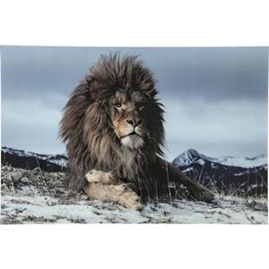 Kare Design Wandfoto Proud Lion 180x120cm