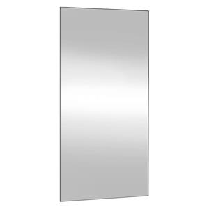 vidaXL Wandspiegel 40x80 cm rechthoekig glas