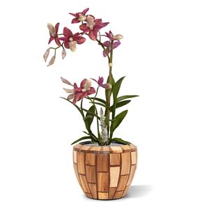 Spider kunst Orchidee burgundy 50cm