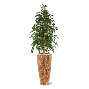 Ficus Exotica kunstboom 150cm - groen