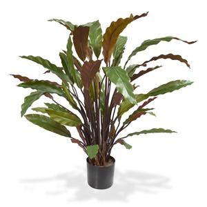 Calathea Red kunstplant 60cm