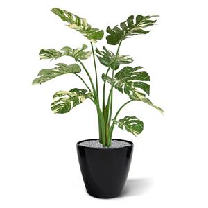 Monstera Deliciosa kunstplant 95cm - groen/bont