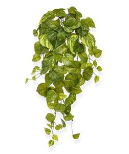 Pothos kunst hangplant 55cm - bont in pot