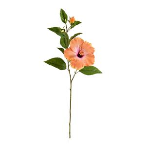 Hibiscus tak 65cm - zalm