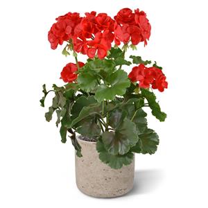 Geranium PL kunstplant 38cm - rood - UV bestendig