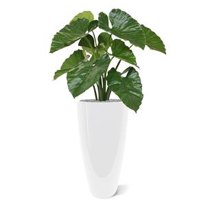 Alocasia Calidora kunstplant 70cm - FR - brandvertragend