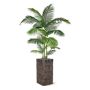 Areca kunstpalm promo 160cm