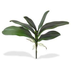Phalaenopsis blad kunstplant 25cm