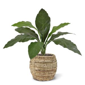 Anthurium Jungle King kunstplant 60cm