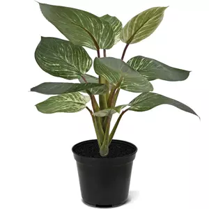 Plantje Philodendron Birkin 30 cm - Kunstplant