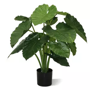Plantje Alocasia Calidora 80 cm - Kunstplant