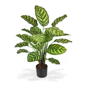 Plantje Calathea Makoyana 60 cm - Kunstplant
