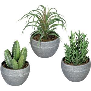 Creativ green Kunst-potplanten Vetplanten in een melamine pot, set van 3 (3 stuks)