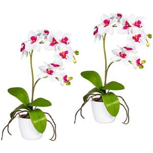 Creativ green Kunstpflanze "Orchidee Phalaenopsis", (Set, 2 St.), im Keramiktopf