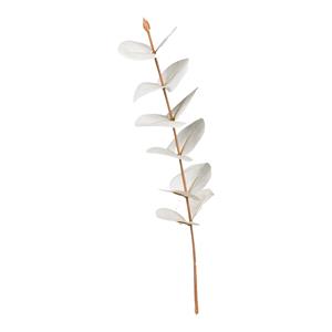 DEPOT Blumenpick Eukalyptus ca.27cm, offweiss