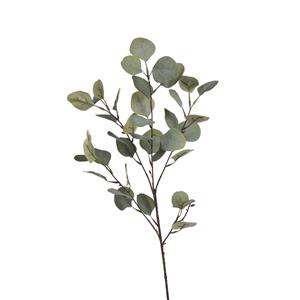 DEPOT Zweig Eukalyptus ca.73cm, grün