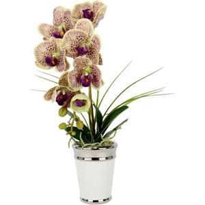 I.GE.A. Kunstblume "Orchidee", im Topf, aus Keramik, Seidenblume Real Touch