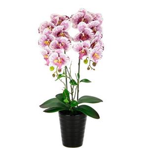 I.GE.A. Kunstblume "Orchidee", Im Topf Phalaenopsis Orchidee Phalaenopsis mit Übertopf Hochzeit