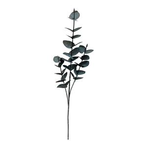 DEPOT Zweig Eukalyptus ca. 68cm, schwarz