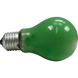 ESR Gekleurde lamp groen 15W E27 grote fitting vorm standaard 230V dimbaar