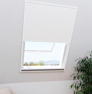 Windhager Insektenschutzrollo für Dachfenster, 2in1 EXPERT, transparent, mit Plissee, BxH: 110x160 cm