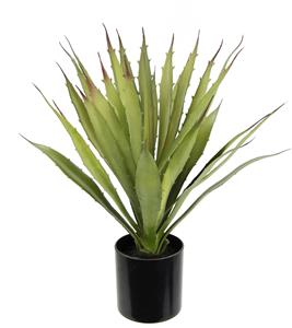 I.Ge.A. Kunstpflanze Künstliche Agave Aloe Vera im Topf Kunstpflanze, (1 St.), Kaktus Kakteen
