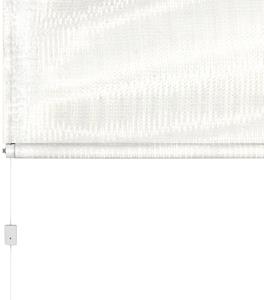 Hecht International Insektenschutzrollo für Dachfenster, BASIC, transparent, weiß/weiß, BxH: 110x160 cm