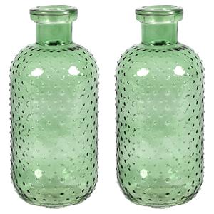 Countryfield Bloemenvaas Cactus Dots - 2x - groen transparant - glas - D11 x H24 cm -