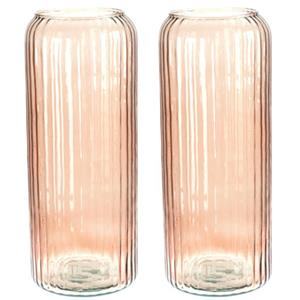 Excellent Houseware Set van 2x  glazen vaas / bloemen vazen - roze - 15 x cm -