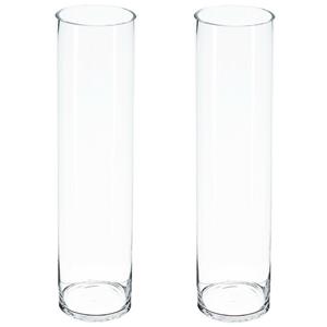 Atmosphera Bloemenvaas - 2x - Cilinder model - transparant - stevig glas - H50 x D15 cm -