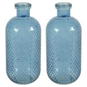 Countryfield Bloemenvaas Cactus Dots - 2x - blauw transparant - glas - D15 x H35 cm -