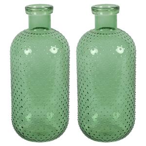 Countryfield Bloemenvaas Cactus Dots - 2x - groen transparant - glas - D15 x H35 cm -