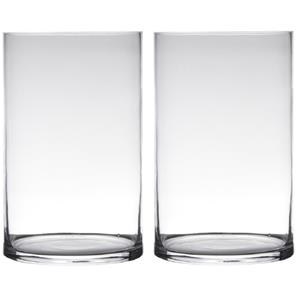 Set van 2x stuks transparante home-basics cylinder vorm vaas/vazen van glas x 19 cm -