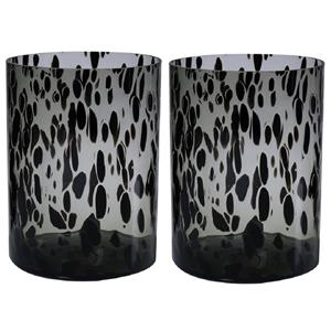 Set van 2x stuks modieuze bloemen cylinder vaas/vazen van glas 25 x 19 cm zwart fantasy -