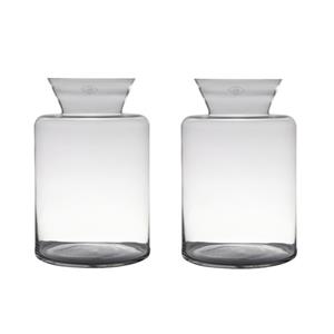 Set van 2x stuks transparante luxe grote vaas/vazen van glas x 24 cm -