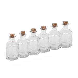 Merkloos 5x Transparante glazen flessen met kurken dop 125 ml -