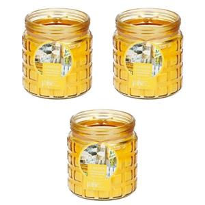 3x stuks citronella kaarsen tegen insecten in glazen pot 12 cm geel -
