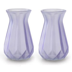 Jodeco 2x Stuks Bloemenvazen - lila paars/transparant glas - H15 x D10 cm -