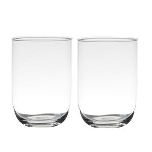 Set van 2x stuks transparante home-basics vaas/vazen van glas 20 x 14 cm -