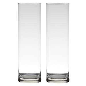 Set van 2x stuks transparante home-basics cylinder vaas/vazen van glas 30 x 9 cm -