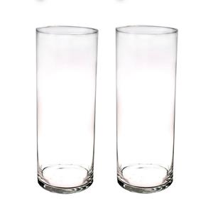 Set van 2x stuks hoge cilinder vazen van glas x 15 cm -