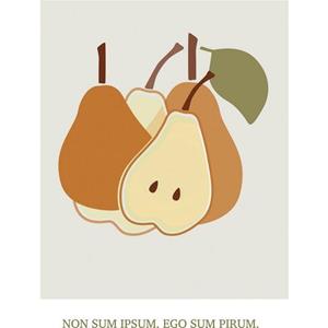 Komar Wandbild "Cultivated Pears", (1 St.), Deutsches Premium-Poster Fotopapier mit seidenmatter Oberfläche und hoher Lichtbeständigkeit. Für fotorealistische Drucke mit gestoch