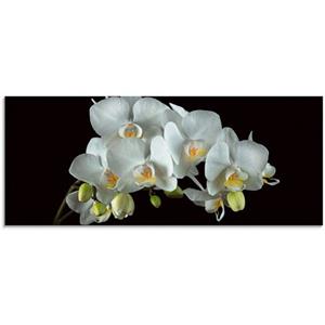 Artland Print op glas Witte orchidee op een zwarte achtergrond in verschillende maten