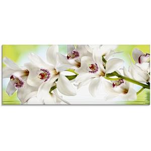 Artland Print op glas Witte orchidee in verschillende maten