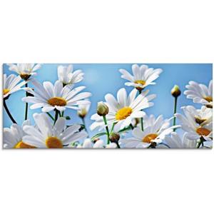 Artland Print op glas Bloemen - margrieten in verschillende maten